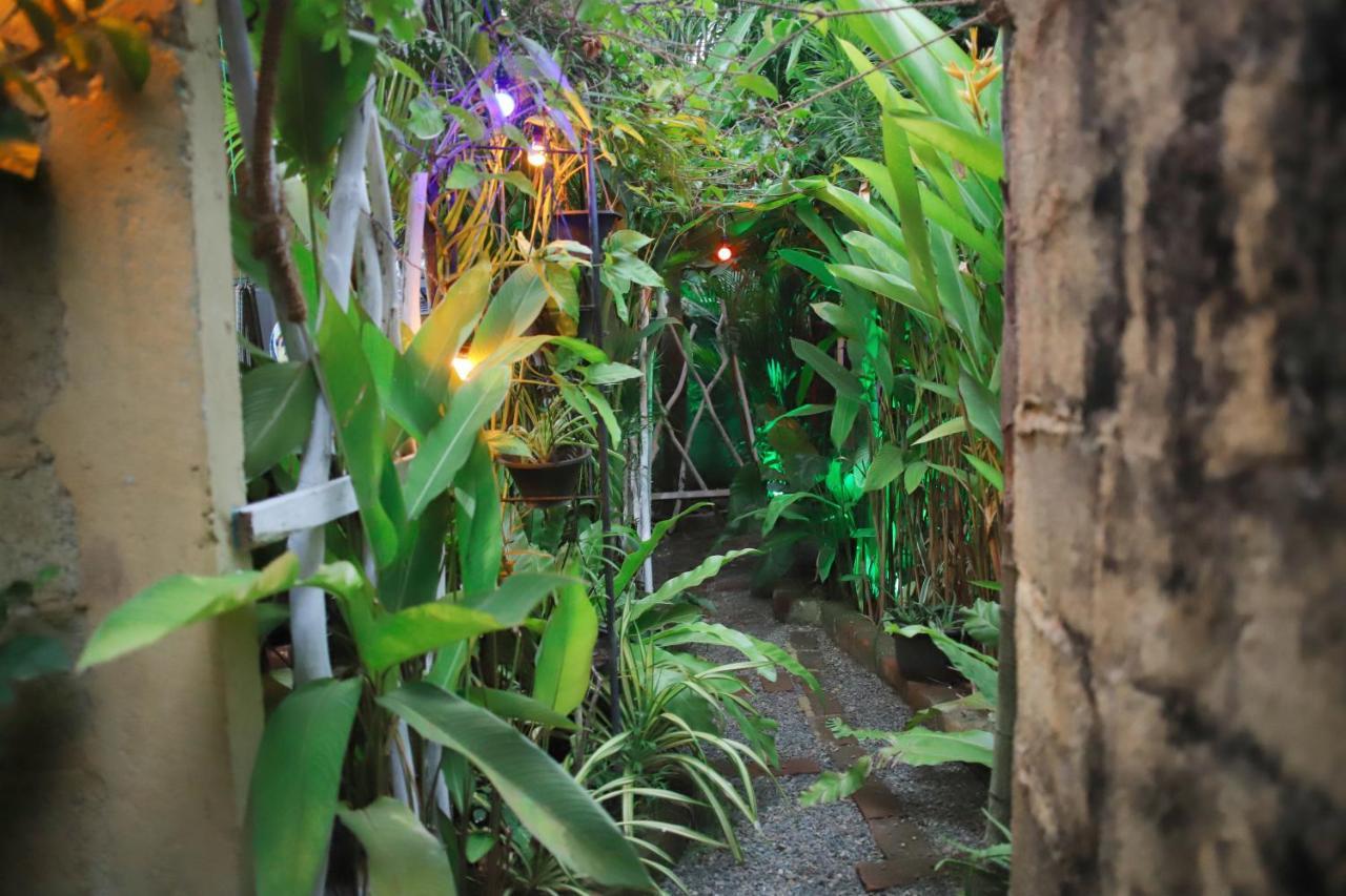 Ruwan Jungle Homestay Mirissa Exterior foto